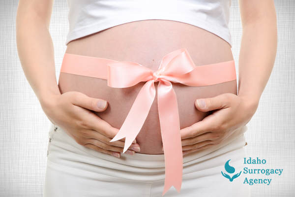 become a surrogate mother