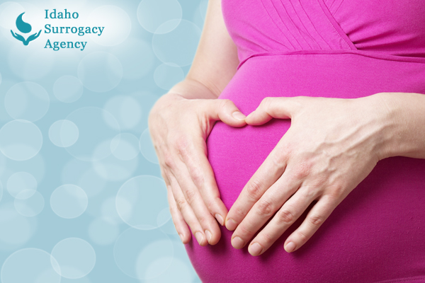 Gestational Surrogate Agency